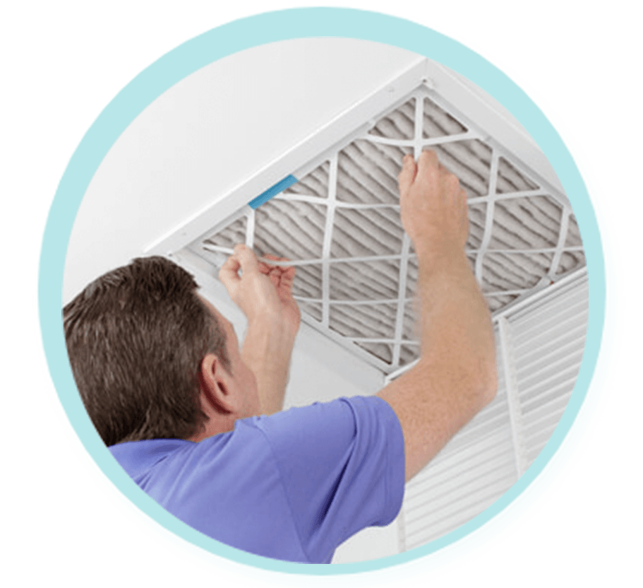 Best Air Purifiers in Pace, FL